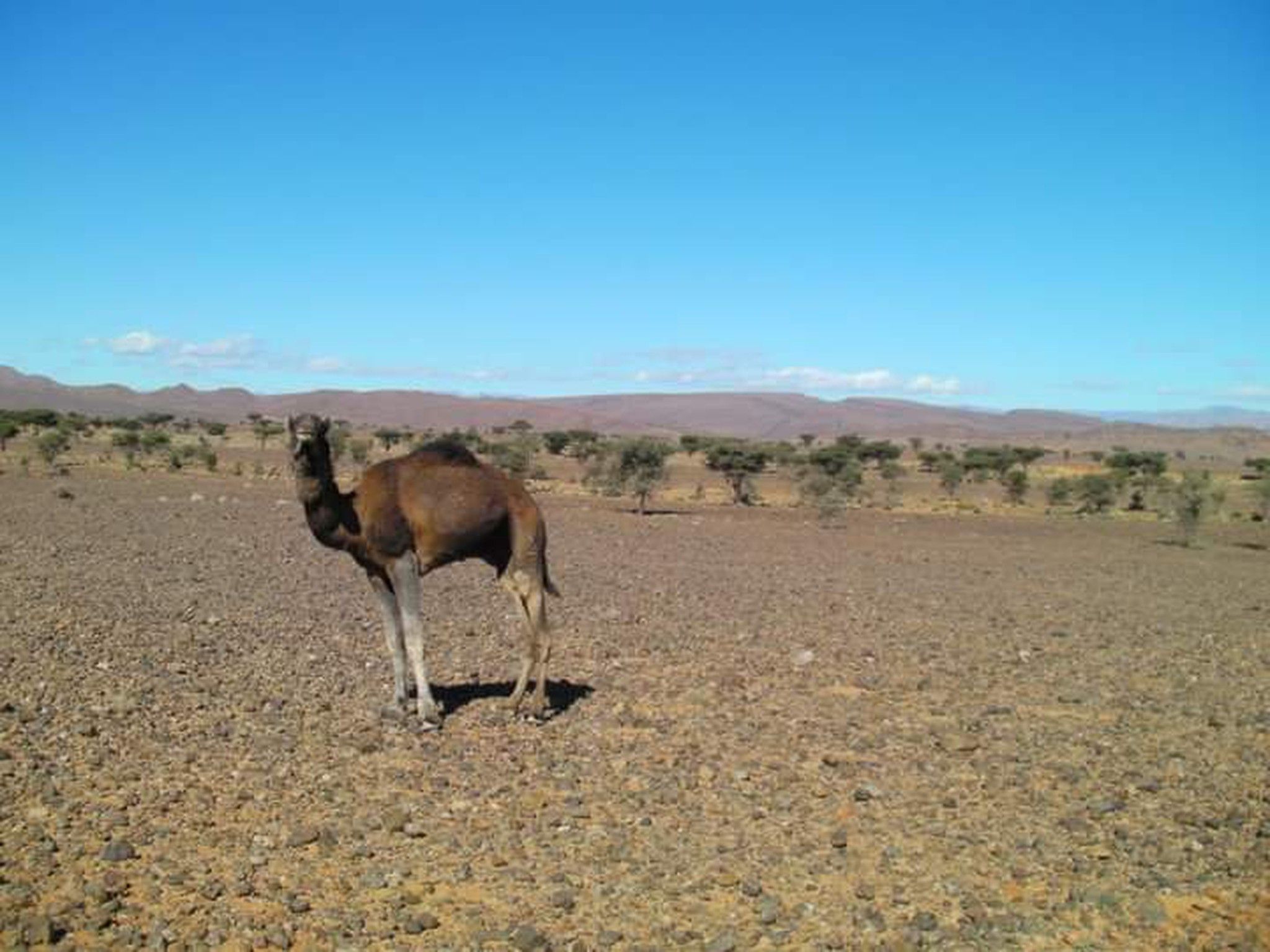 Foto viaje Marruecos