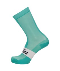 Bianchi Milano Classic Socks