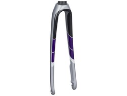 Fork rigid trek domane sl5 disc wsd 44-54 quicksilver/black