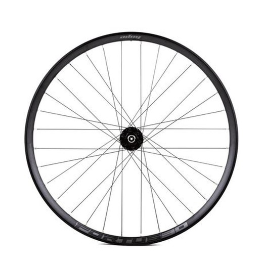 Ho-rueda trasera 29" fortus 30-pro4 12x150 negra shimano