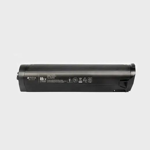Batteria Fazua Energy 250X