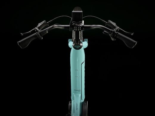 Bicicletta elettrica da carico Trek Fetch+ 2