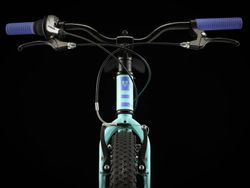 Bicicleta infantil Trek Precaliber 24"