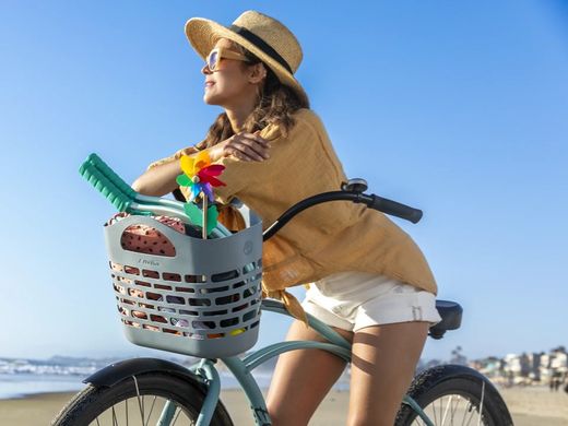 Cistella Electra Plasket Basket