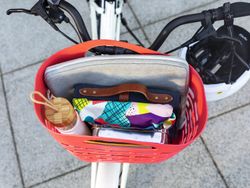 Cistella Electra Plasket Basket