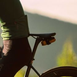 COMPACT SADDLE BAG - CALIFORNIA GOLD