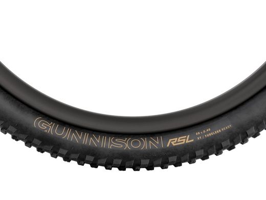 Coberta Bontrager Gunnison RSL TLR MTB