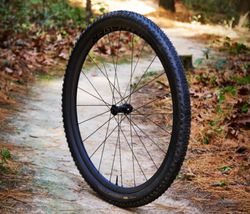 Coberta Bontrager Vallnord RSL XR TLR MTB