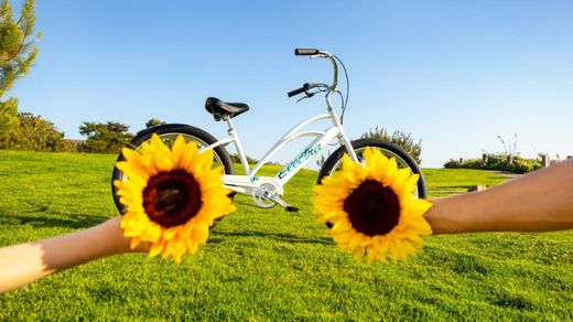 Vélo électrique urbain Trek Cruiser Go!