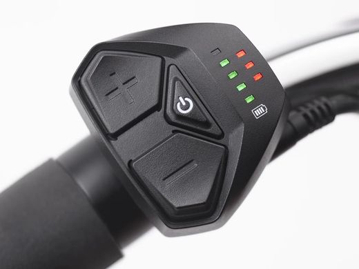 Vélo électrique urbain Trek Cruiser Go!