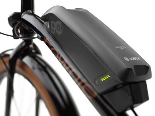 Vélo électrique urbain Trek Townie Go! 5i