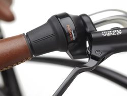 Vélo électrique urbain Trek Townie Go! 5i