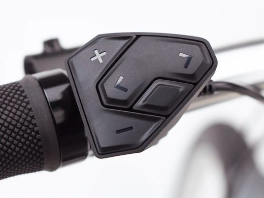 E-bike urbana Trek Townie Path Go! 10D