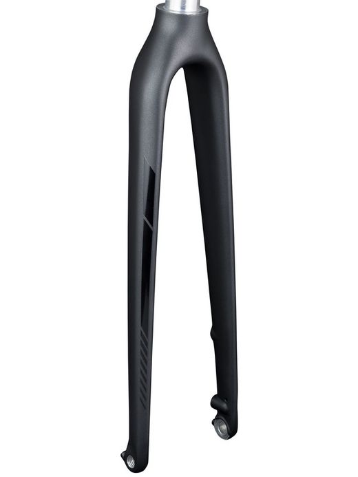 Fork rigid trek fxs6 700c carbon disc 12mm thru black / black