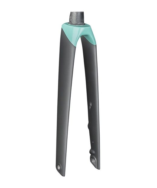 Fork rigid trek madone slr disc wsd 50-54 black / miami green