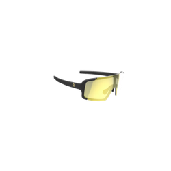 BBB sports glasses Chester PH MLC gold mirror