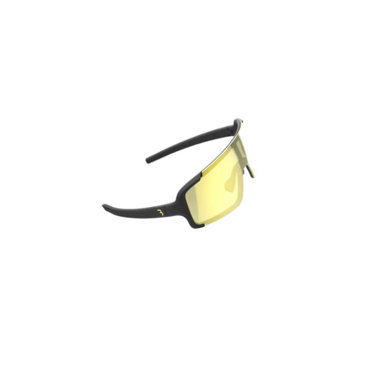 BBB sports glasses Chester PH MLC gold mirror