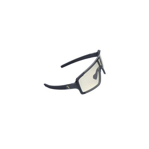 Gafas fotocromáticas estrechas "Chester" PH