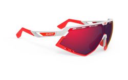 Gafas rudy project defender