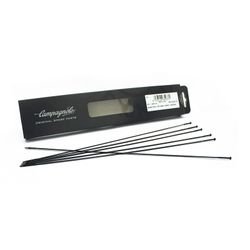 Radios Campagnolo Hyperon ultra 6U
