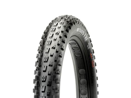 Minion FBR Fat Tire 26x4.80 120 tpi pliable EXO / TR