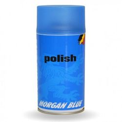 MORGAN BLUE POLISH
