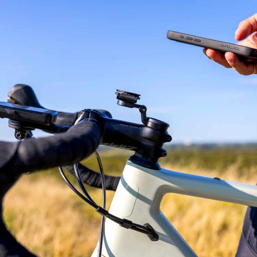 Quad Lock Stem Cap Mount Adjustable