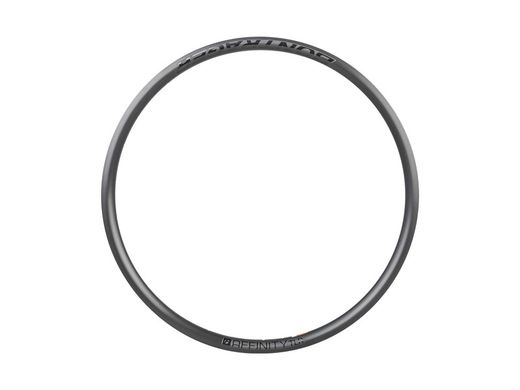 Rim bontrager affinity tlr 700c disc 24h black