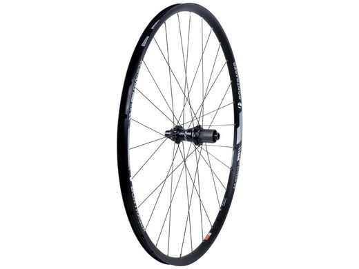 Ruedas Bontrager Mustang Pro 29" TLR