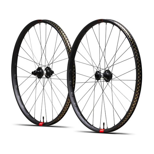 RSV 30 SL 29" | DT 350 110 6b (MICRO SPLINE)