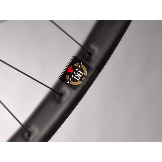 RSV DH 29"|i9 Hydra 110 Boost 157 6b (XD)