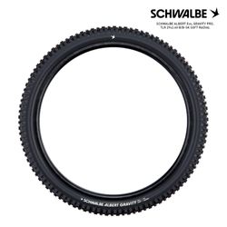SCHWALBE ALBERT Evo, GRAVITY PRO, TLR 29x2.60 B/B-SK SOFT RADIAL