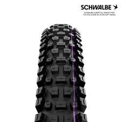 SCHWALBE ALBERT Evo, GRAVITY PRO, TLR 29x2.60 B/B-SK ULTRA SOFT RADIAL