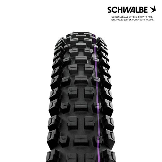 SCHWALBE ALBERT Evo, GRAVITY PRO, TLR 29x2.60 B/B-SK ULTRA SOFT RADIAL
