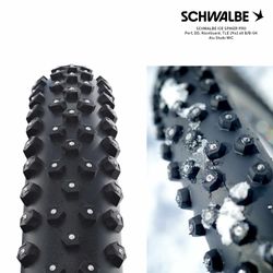 SCHWALBE ICE SPIKER PRO Perf, DD, RaceGuard, TLE 29x2.60 B/B-SK Alu Studs WiC