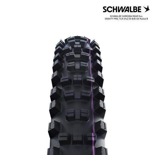SCHWALBE SHREDDA REAR Evo, GRAVITY PRO, TLR 29x2.50 B/B-SK Radial B