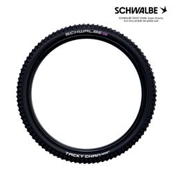 SCHWALBE TACKY CHAN Evo, Super Gravity, TLE 29x2.40 B/B-SK ADDIX Soft
