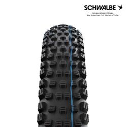 SCHWALBE WICKED WILL Evo, Super Race, TLE 29x2.40 B/TS-SK