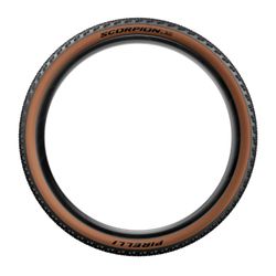 Scorpion™ XC RC 29 x 2.4 Classic ProWALL