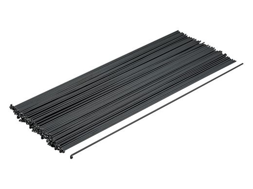 Raggi Bontrager rotondi J-Bend 100U