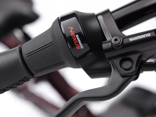 Vélo électrique urbain Trek Townie Commute Go! 5i