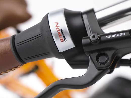 Vélo électrique urbain Trek Townie Commute Go! 5i