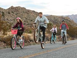 Vélo électrique urbain Trek Townie Go! 5i