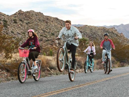 Vélo électrique urbain Trek Townie Go! 5i