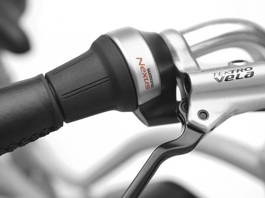 Vélo électrique urbain Trek Townie Go! 5i