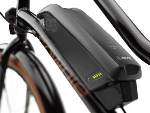 Vélo électrique urbain Trek Townie Go! 5i