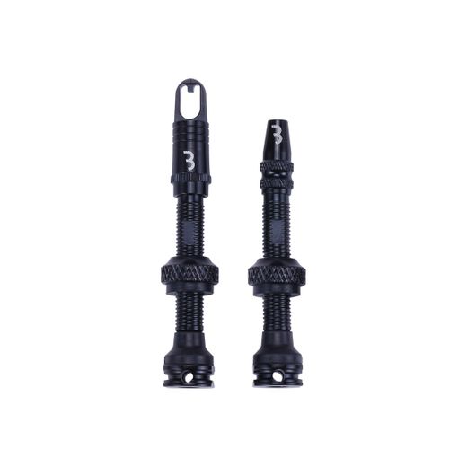 Valves Tubeless obus démontable 2 pcs