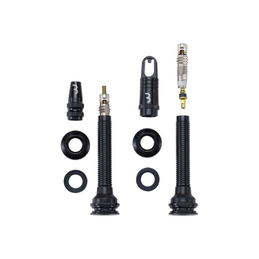 Valves Tubeless obus démontable 2 pcs
