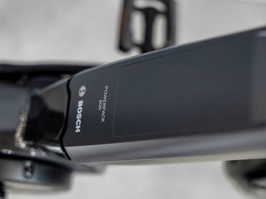 E-bike híbrida Trek Verve+ 2