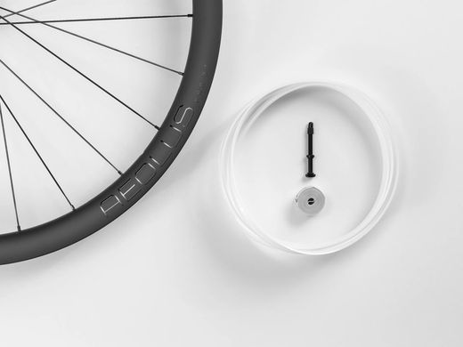 Roues à disque Bontrager Aeolus Pro 37 TLR